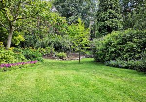 Optimiser l'expérience du jardin à Bois-Arnault